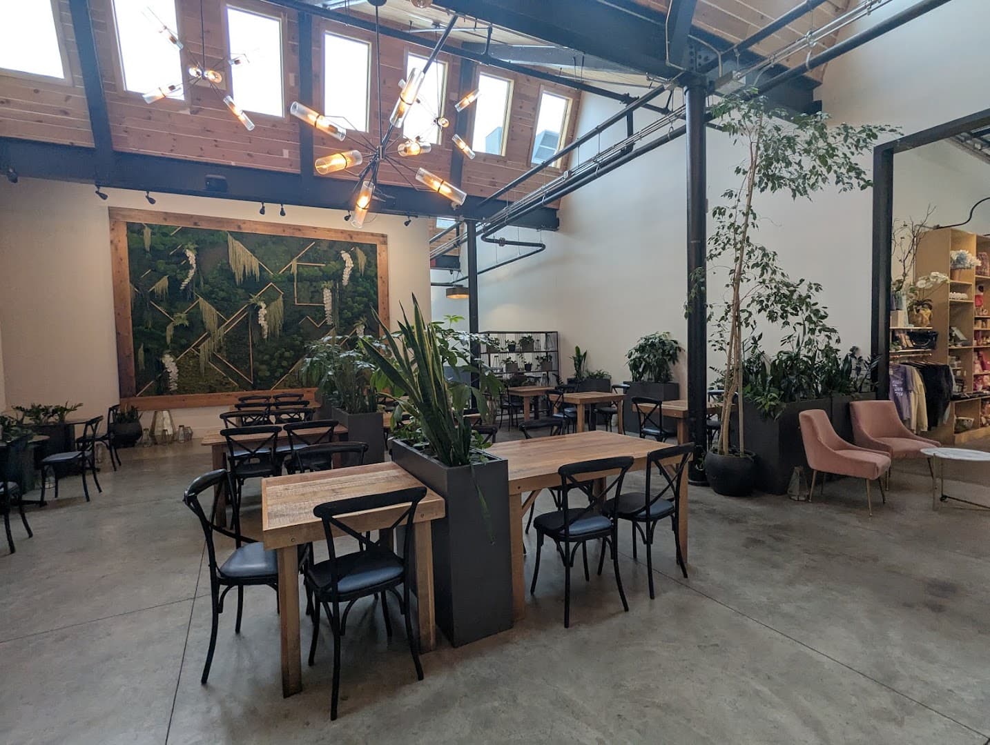 Winter Swan Coffee - specialty coffee shop in Rochester