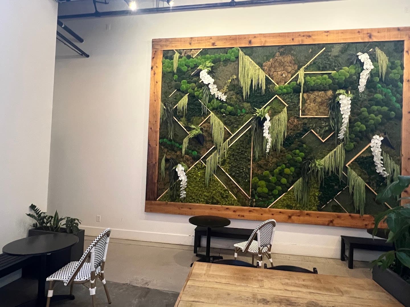 Interior of Winter Swan Coffee, specialty coffee shop in Rochester