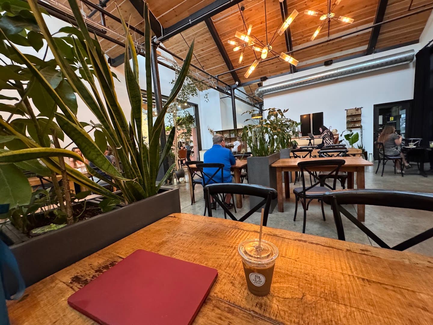 Interior of Winter Swan Coffee, specialty coffee shop in Rochester