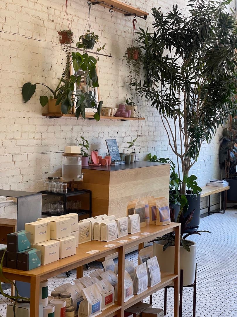 Interior of Homage Coffee, specialty coffee shop in Seattle