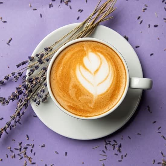 French Truck Coffee - specialty coffee shop in New Orleans