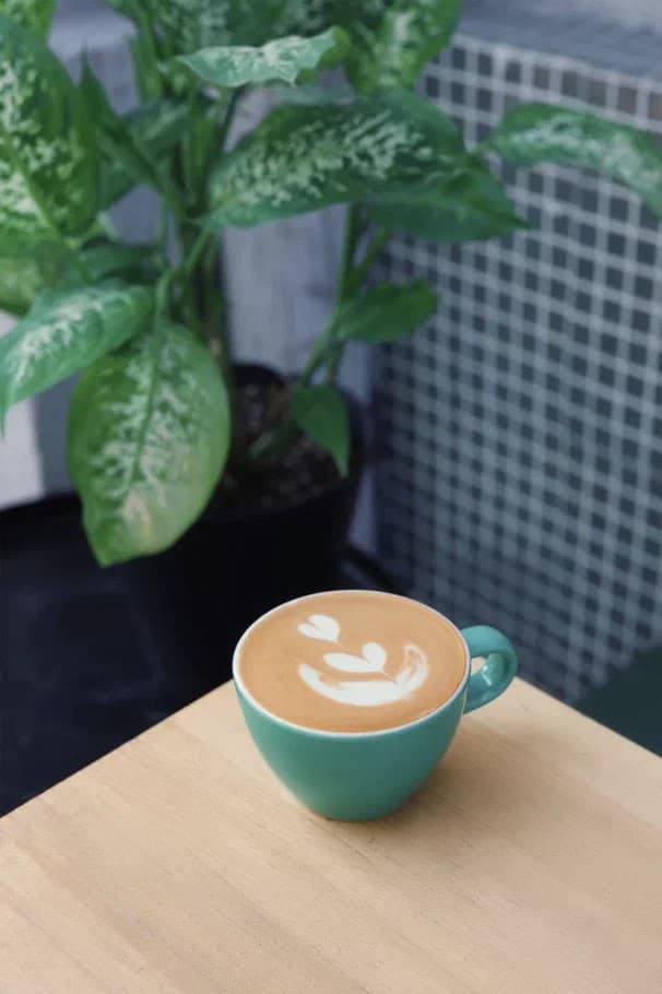 Senica - specialty coffee shop in Belgrade