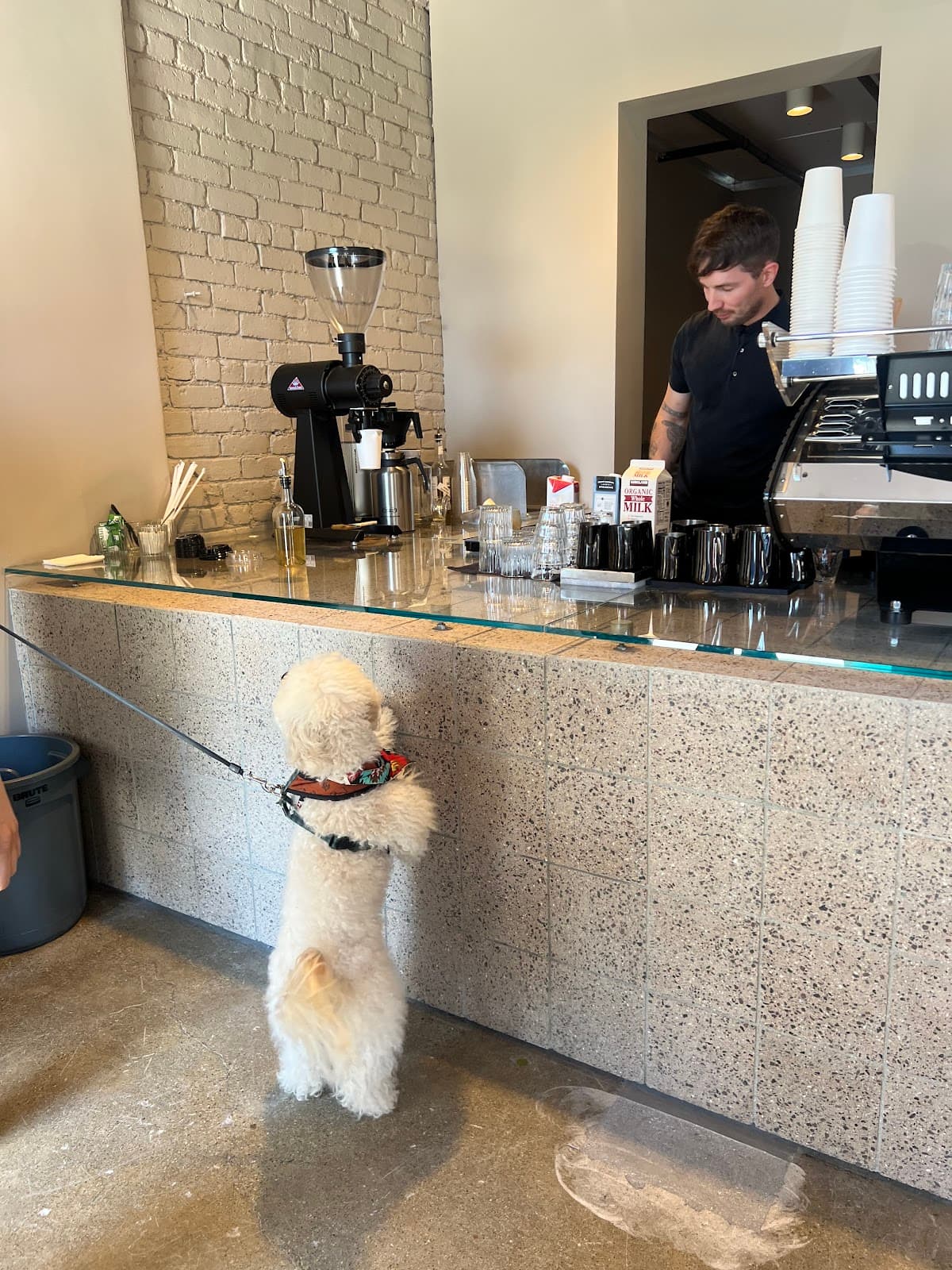 Concierge Coffee specialty coffee shop in Los Angeles - photo 8