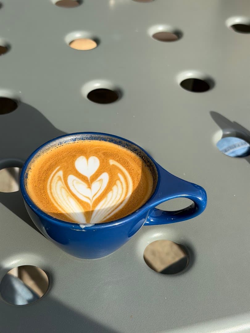 Voyager Craft Coffee - specialty coffee shop in San Jose