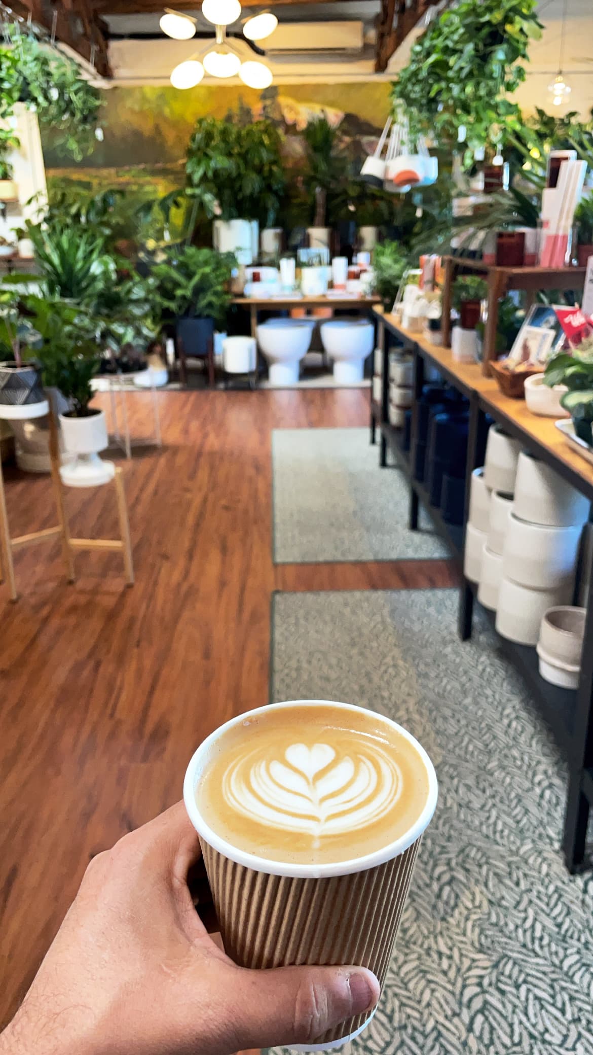 Caffio Espresso Bar - specialty coffee shop in Phoenix
