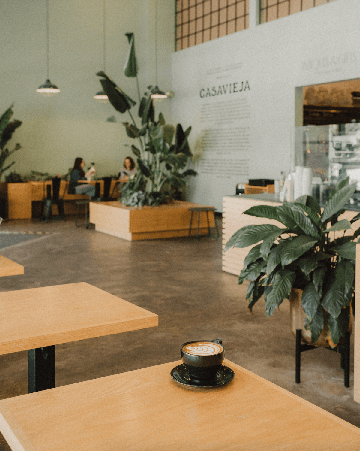 The Boy & The Bear - Sherman Oaks specialty coffee shop in Los Angeles - photo 5
