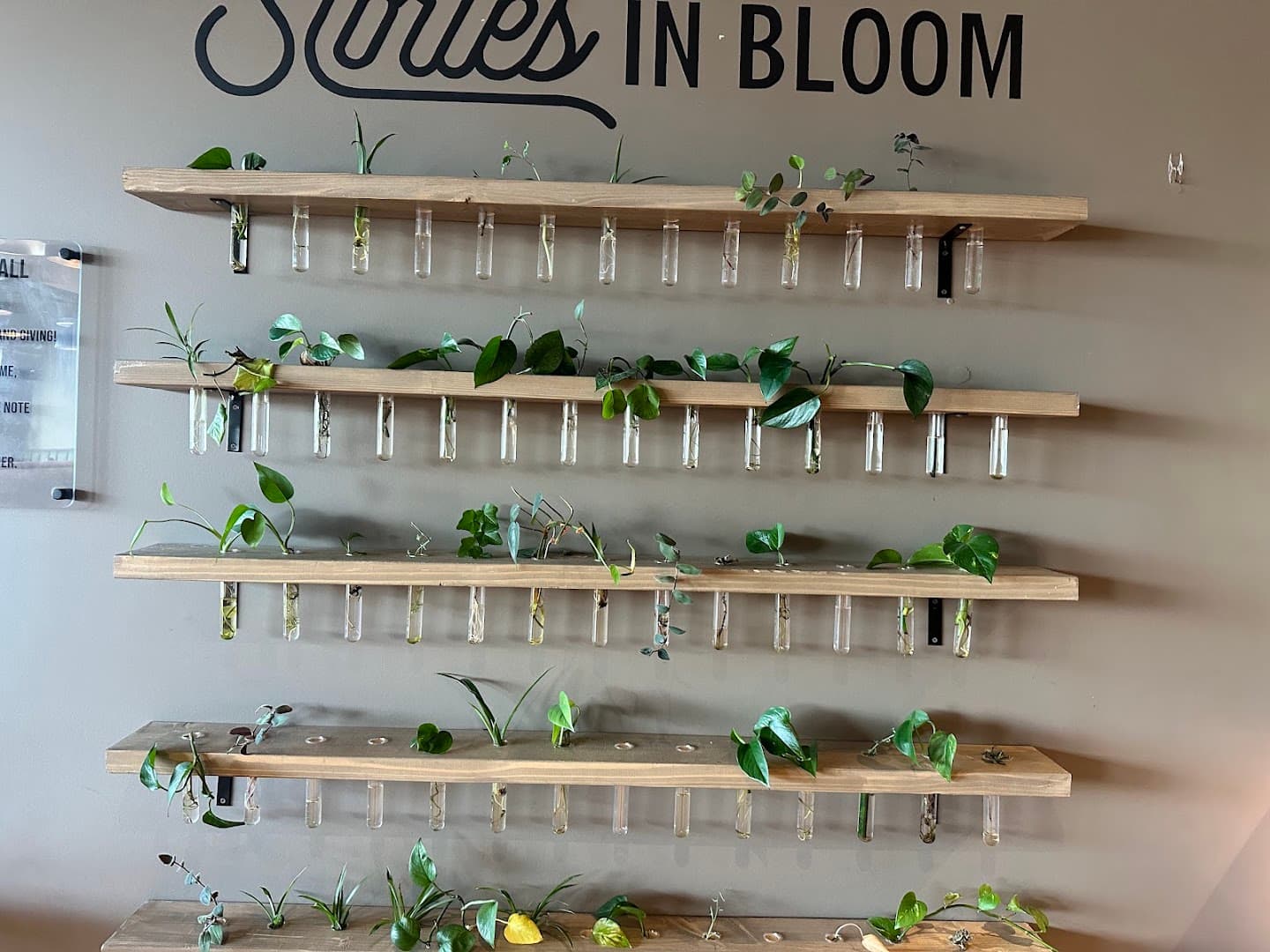 Interior of Stories Coffee Company, specialty coffee shop in Omaha