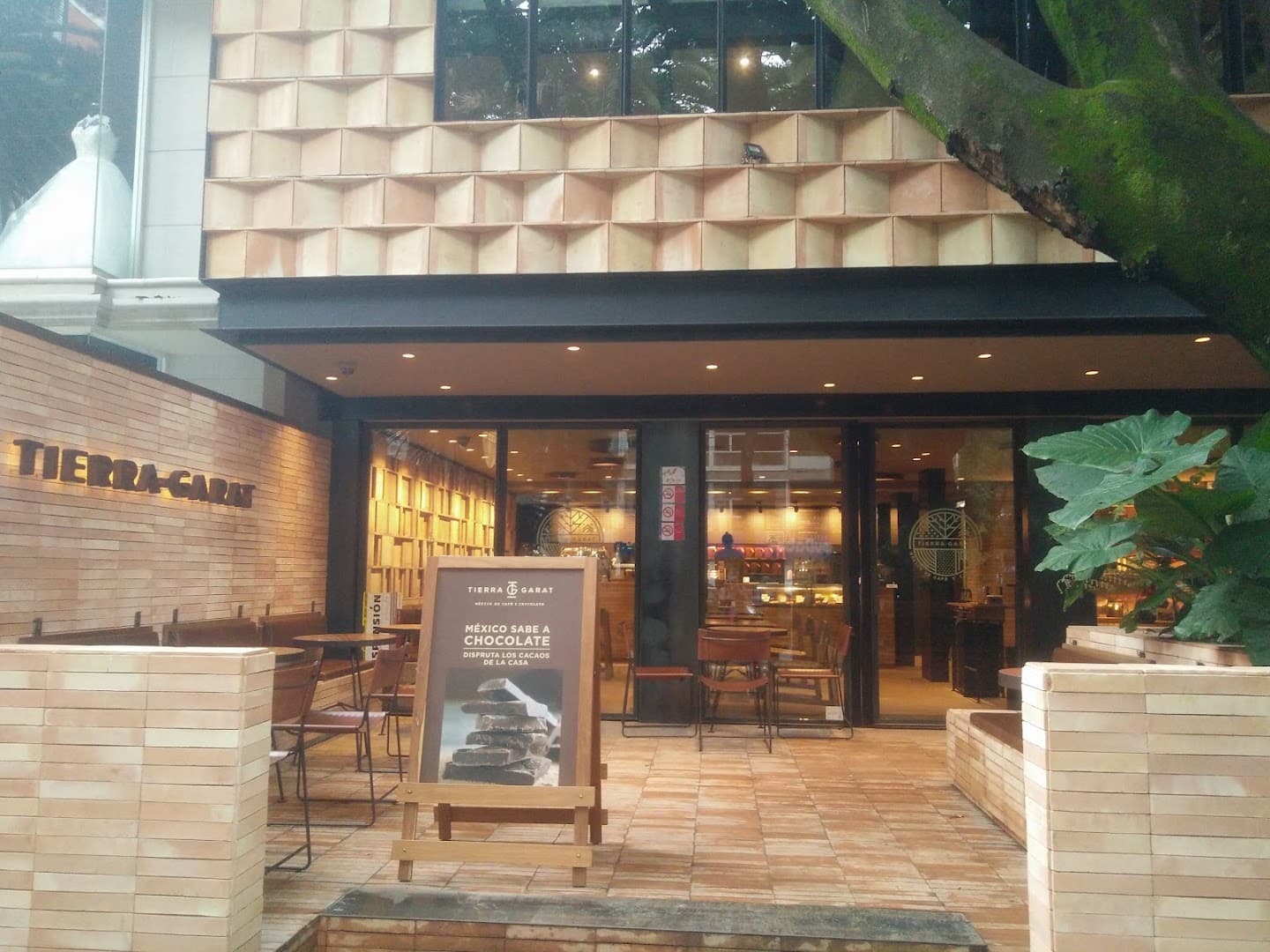Storefront of Tierra Garat, specialty coffee shop in Mexico City