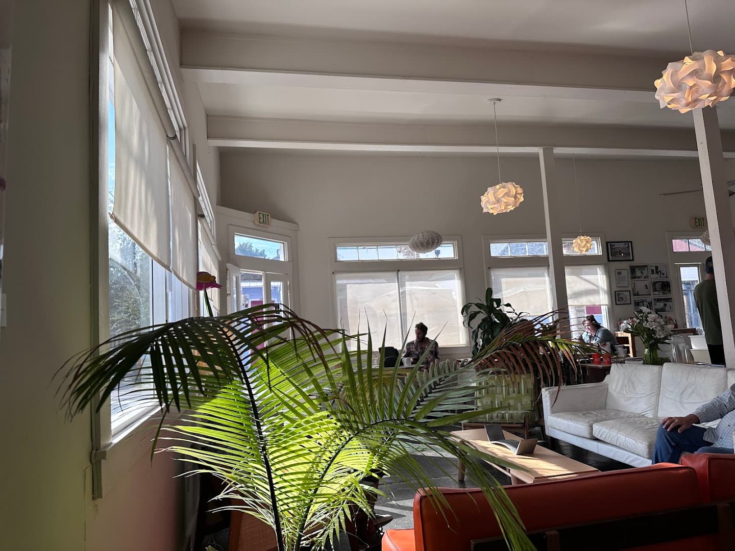 The Orange Couch — specialty coffee in New Orleans
