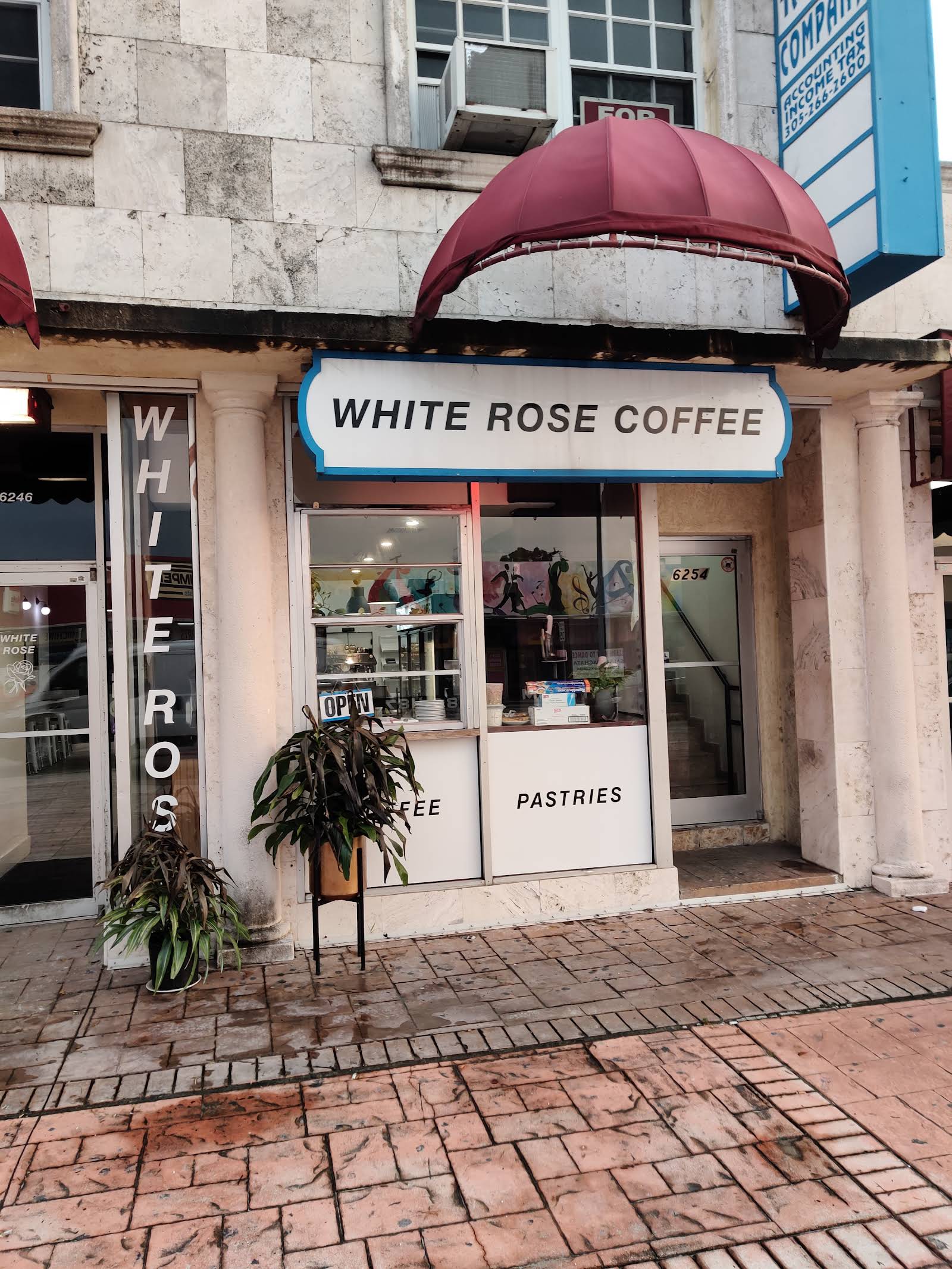 White Rose Coffee - specialty coffee shop in Flagami