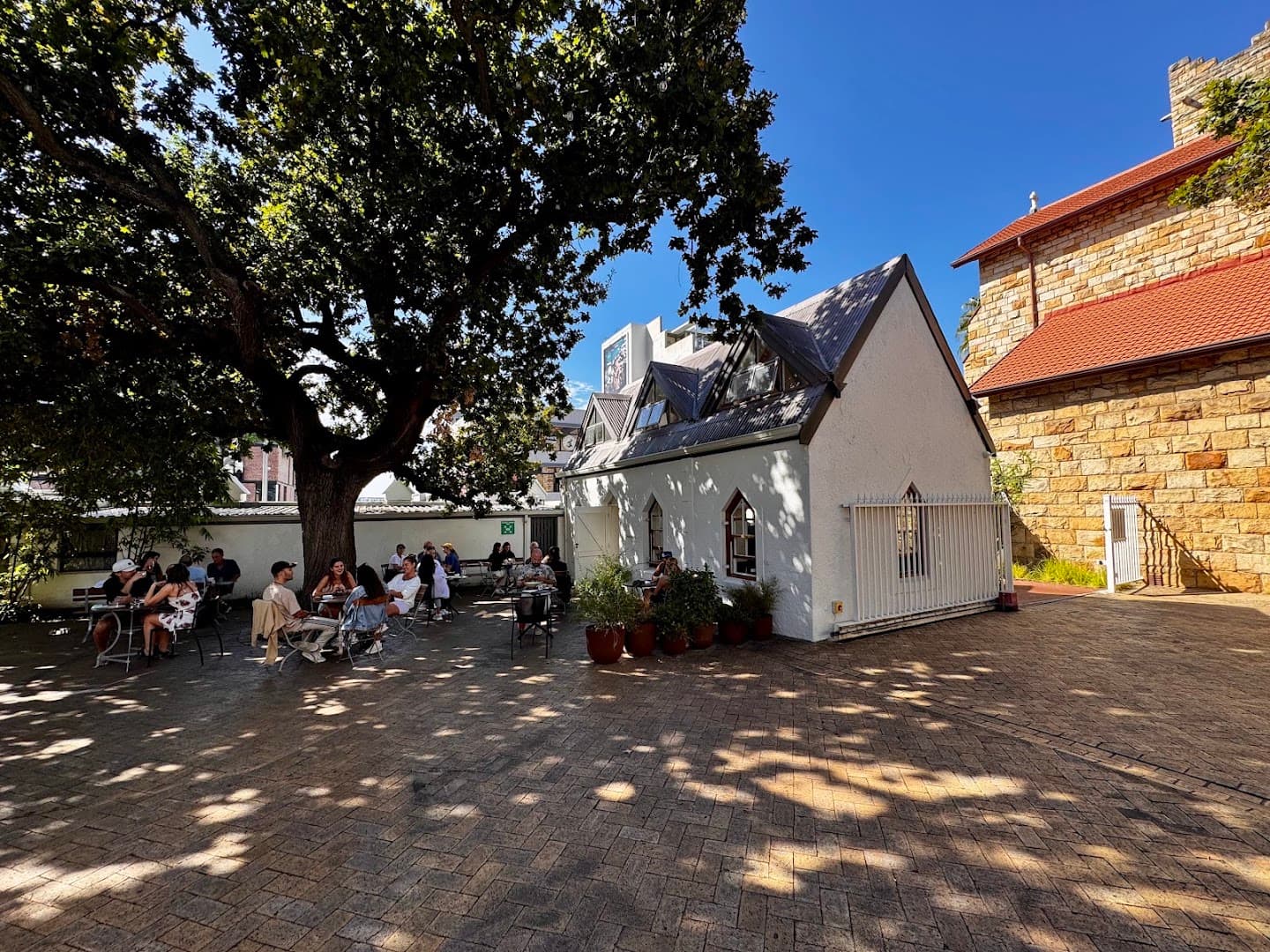 Pauline's Greenpoint specialty coffee shop in Cape Town - photo 5