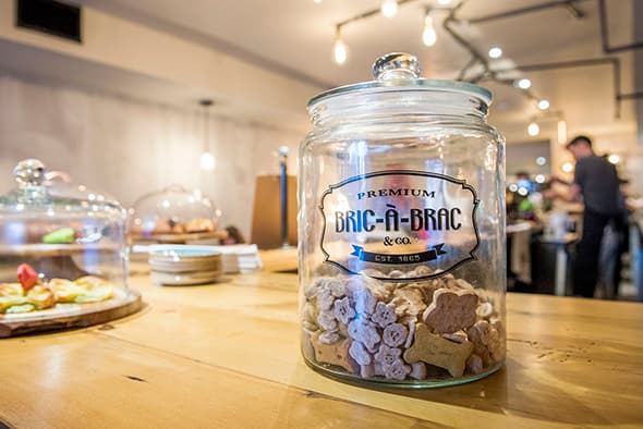 Interior of Goldstruck Coffee, specialty coffee shop in Toronto