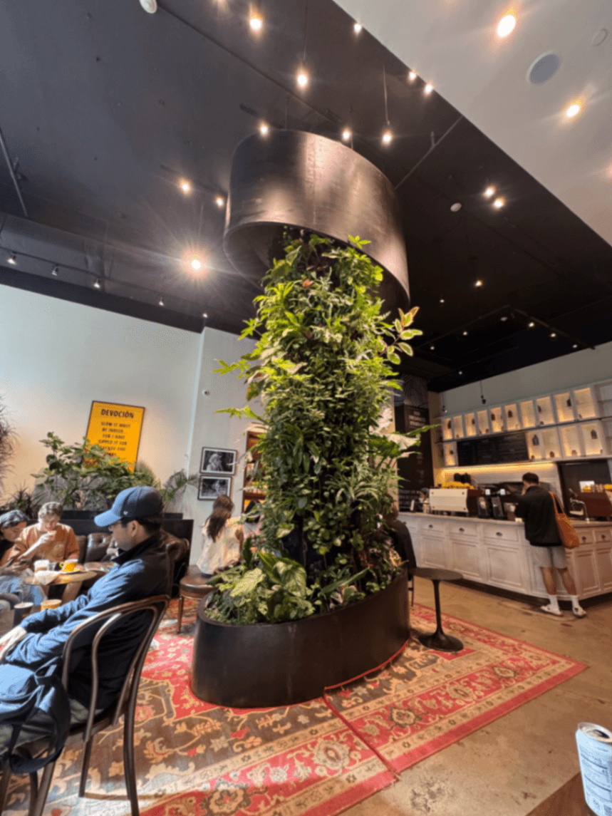 Devoción Midtown - specialty coffee shop in New York